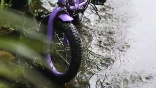 Bicicleta Vieja Lluvia Llovizna Vídeo — Vídeos de Stock