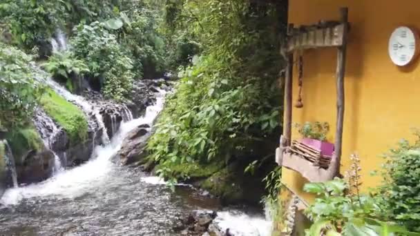 科隆比亚丛林度假胜地的小溪 — 图库视频影像