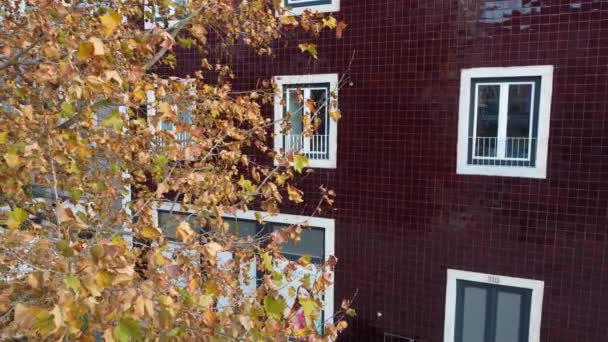 Cinematographic montage with drone: frontal upward displacement,tree in autumn,buildings,landscape,symmetry,urban,windows,architecture,square,ceramic.