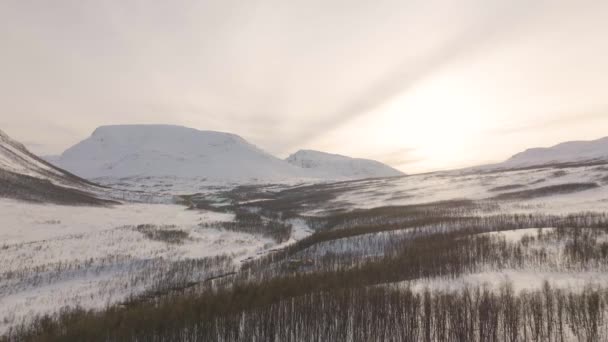 Stor Snöig Vildmark Skandinavien Frusen Flod Genom Dal Antenn — Stockvideo