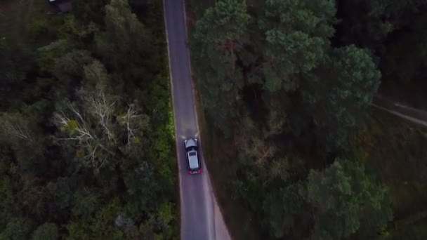 Maravilhoso Voo Aéreo Visão Pássaro Drone Tiro Carro Luzes Estrada — Vídeo de Stock