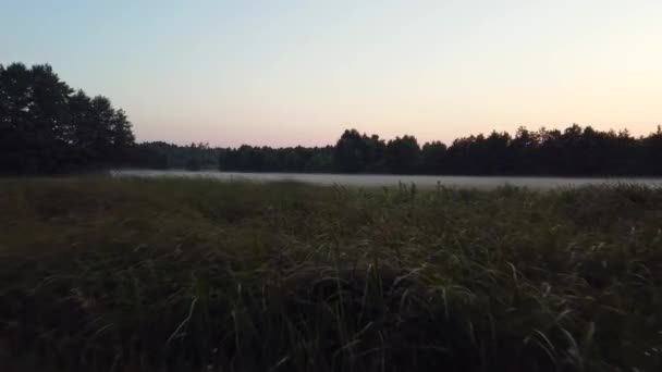 Velký Letecký Trajekt Poblíž Země Létat Vpřed Drone Střílel Přes — Stock video