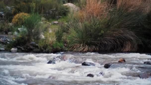 Shallow River Flow Sierra Nevada Spain — 비디오