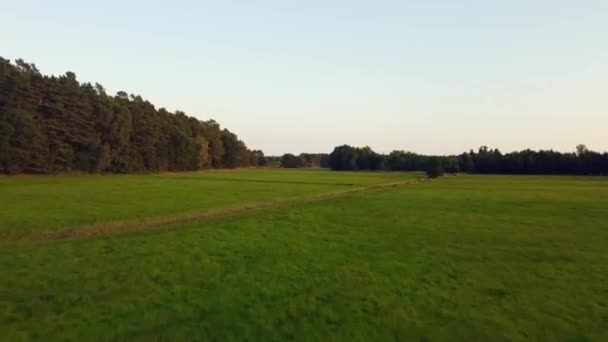 Millón Dólares Vuelo Aéreo Volar Hacia Adelante Avión Tripulado Disparo — Vídeos de Stock