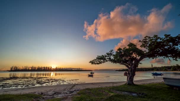Čas Západu Slunce Uplynul Krásném Tajném Zálivu Ostrově Pines Den — Stock video
