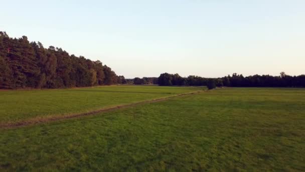 Grote Drone Vlucht Vliegen Achteruit Drone Schot Landbouwgrond Kreekin Natuurreservaat — Stockvideo