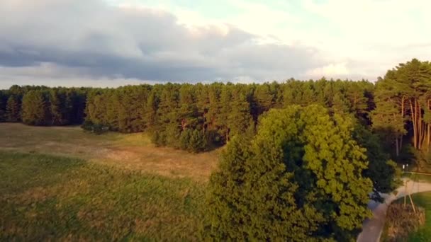 Soepele Luchtvlucht Vlieg Voorwaarts Drone Schot Het Bos Bij Zonsondergang — Stockvideo