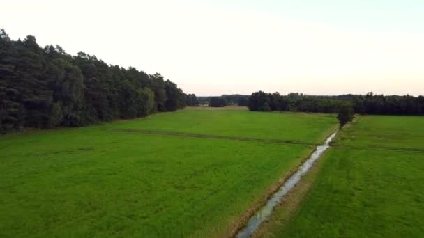 Stunning Aerial Flight Fly Forwards Drone Shot Ecological Organic Farmer — стоковое видео