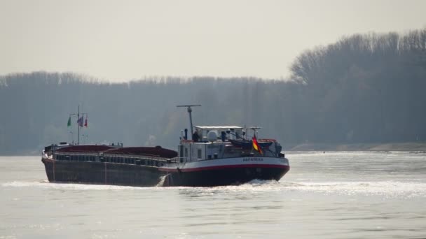 Industrial Transport Ship Sailing Rhine Karlsruhe Germany Sunset Sunny Weather — Stock video