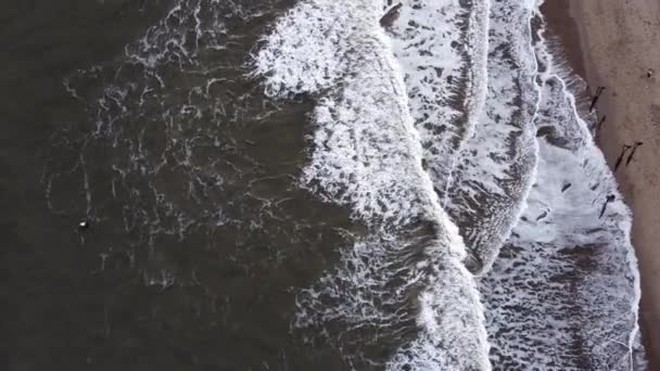 鳥の目線で撮影された海でのサーファーのパドル — ストック動画
