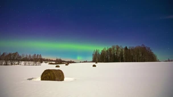 Green Shimmer Time Lapse Northern Lights Snow Farm Land Full — стоковое видео