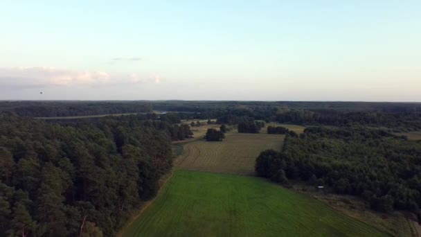 Buttery Soft Air Flight Fly Back Drone Shot High Farmland — Stock video