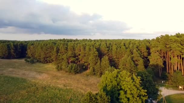 Perfect Aerial Flight Fly Crane Drone Shot Street Tree Nature — Stok video