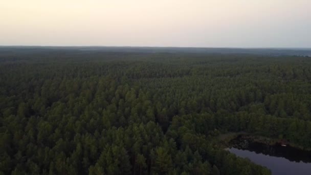 Great Aerial Flight Slowly Sinking Drone Shot Lake Forests Morning — Stock videók