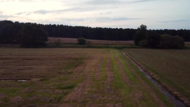 Buttery Soft Aerial Flight Fly Forwards Drone Shot Creek Farmland — Stock videók