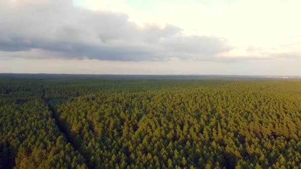 Calmer Aerial Flight Very High Panorama Overview Drone Shot Woods — Stock video