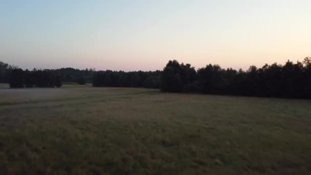 Çok Hızlı Çok Uzak Bir Uçuşta Mritz Park Mecklenburg Brandenburg — Stok video