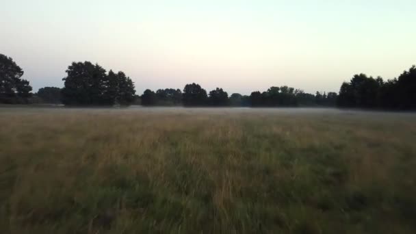 完璧な空中ドローン飛行は 霧の多い自然保護区Mritz Seen Park Mecklenburg Brandenburg Germany空中ドローンビューで撮影されたドローンをゆっくりと上昇させます 映画的性質 — ストック動画