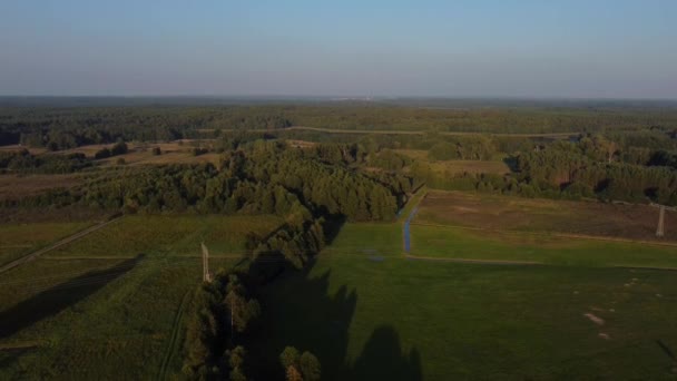 Calmer Aerial Flight Slowly Sinking Drone Shot Summer Holiday Healthy — Vídeo de stock