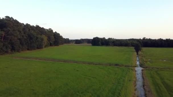 在德国梅克伦堡 勃兰登堡自然保护区 令人叹为观止的空中飞行非常欢快 地面飞行上升 无人驾驶飞机被射中 菲利普 马尔尼茨的电影性质 — 图库视频影像