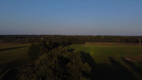 Perfect Aerial Flight Slowly Sinking Drone Shot Tree Summer Holidayin — Stock video