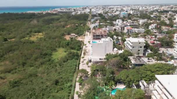 Aerial Drone Showing Playa Del Carmen Mexico Massive Jungle Trees — Stockvideo