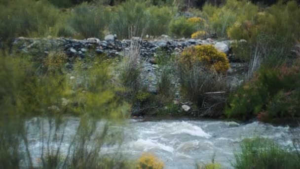 Sterke Rivier Sierra Nevada Regio Orgiva Rivier Guadalefo — Stockvideo