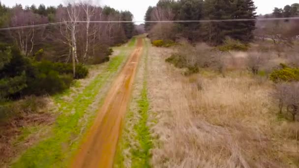 空中転送は のブランドン州シートフォードの森を通って走る砂利道を撮影しました 秋の森 — ストック動画