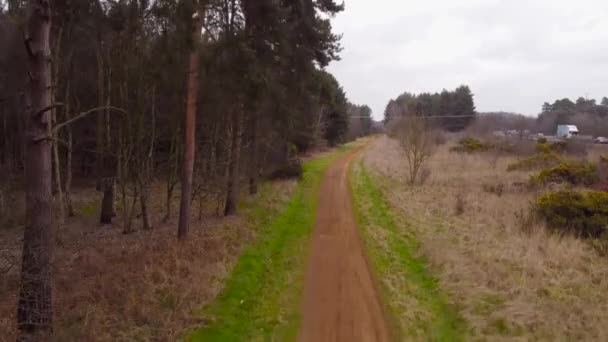 Tilt Video Gravel Pathway Outskirts Thetford Forest Brandon United Kingdom — Video Stock
