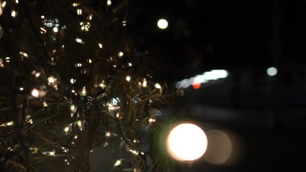 Weihnachtsbeleuchtung Schafft Warme Umgebung — Stockvideo
