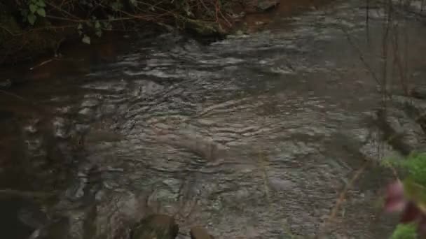 Pârâu Bâlbâit Zona Rurală Somerset — Videoclip de stoc