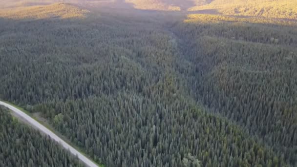 Dichter Üppiger Wald Wunderschönen Dease Lake Gebiet British Columbia Kanada — Stockvideo