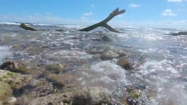 Golven Rollen Een Zonnig Strand Riviera Maya Quintana Roo Mexico — Stockvideo