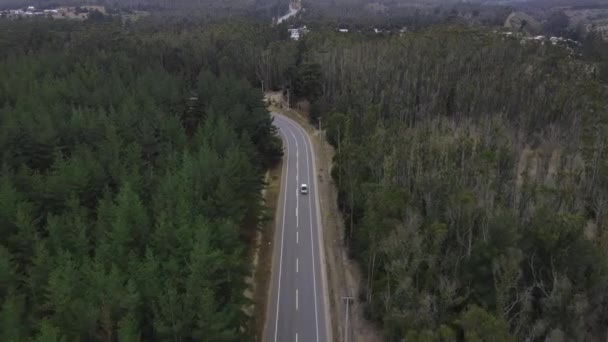 Luchtfoto Van Een Snelweg Het Midden Van Het Bos — Stockvideo