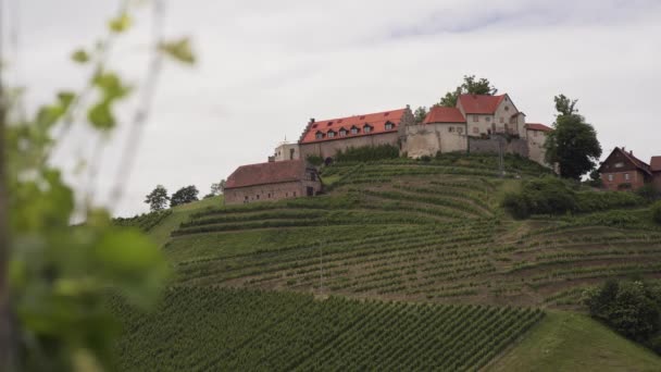 Vineyard Durbach Wine Route Germany Static View Focus Background — стокове відео