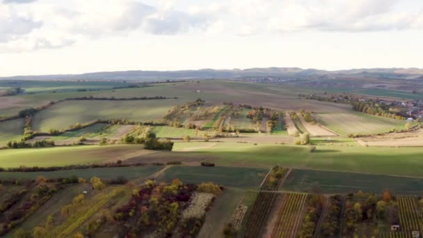 Idyllic Rural Vineyard Countryside Czechia Autumn Drone Shot — Vídeo de Stock