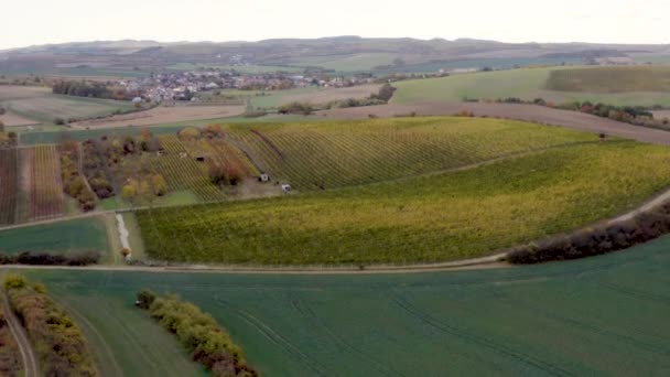 Drone Shot Crop Fields Vineyards Villages Moravia Czechia — Vídeo de Stock