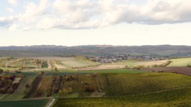 Drone Shot Vineyard Region Czechia Sunny Day Autumn — Stockvideo