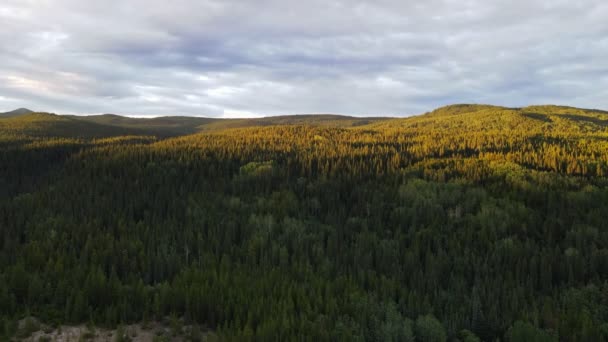 Tät Frodig Skog Utspridd Över Berg Och Dalar Dease Lake — Stockvideo