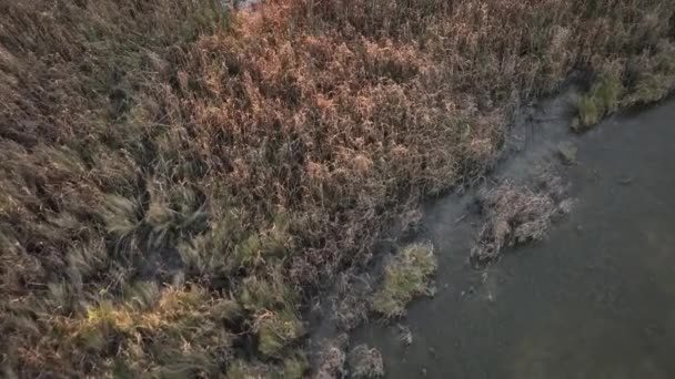 Luchtfoto Van Een Zonsondergang Boven Port Bay Texas — Stockvideo