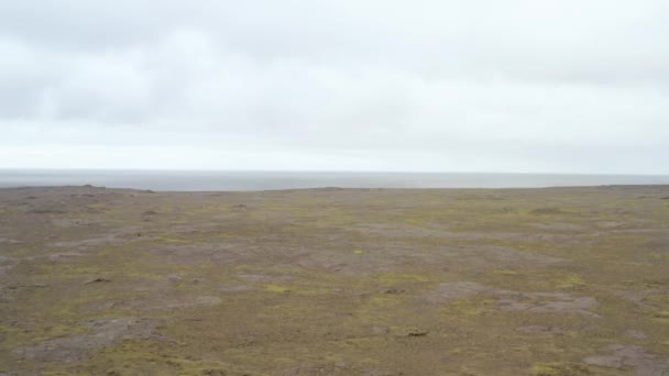 Drone Flying Field Coast Reynisfjara Världsberömd Black Sand Beach Reykjanes — Stockvideo