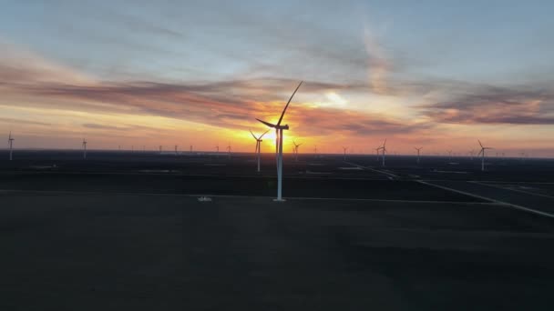 Windfarm Západ Slunce Pozadí — Stock video