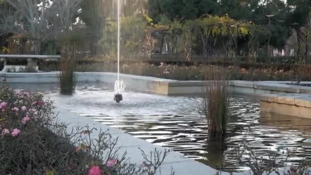 Panning Shot Central Pond Cross Rosaleda Retiro Park Madrid Sunset — Stockvideo