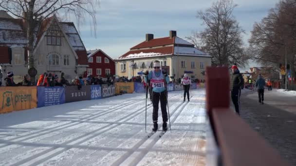 Esqui Fundo Vasaloppet Tjejvasan Long Distance Cross Country Ski Race — Vídeo de Stock