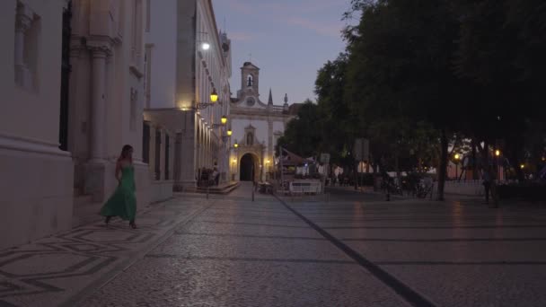 Hermosa Joven Con Vestido Verde Caminando Bailando Una Histórica Calle — Vídeo de stock