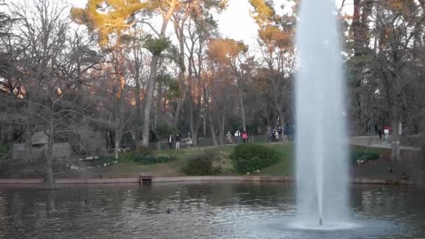 マドリードのレティーロ公園のガラス宮殿での池のパンニングショット 葉のない木 冬時間 がある池の真ん中にある背の高いウォータージェット 人々が歩いている 背の高い木 黄金の夕日 — ストック動画