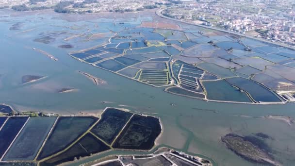 Flygfoto Över Saltrutan Aveiro Portugal Sväva Och Luta Kameran Downwords — Stockvideo