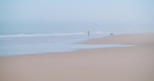 Peaceful Misty Beach Scene People Dog Running Away Sea — Vídeo de Stock