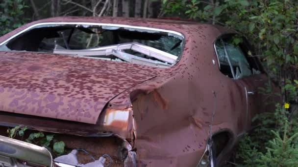 Old Rusty Abandoned Car — Vídeos de Stock