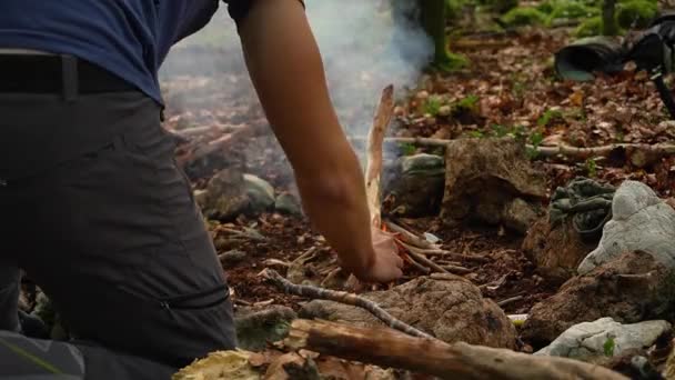 Adding Sticks Fire Woods — Stok video